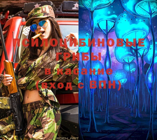 мяу мяу кристалл Покачи