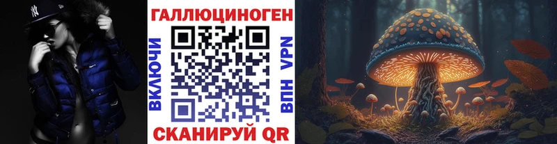 hydra зеркало  Алушта  Псилоцибиновые грибы GOLDEN TEACHER  где купить наркоту 