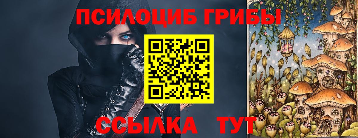 Псилоцибиновые грибы Psilocybe Алушта