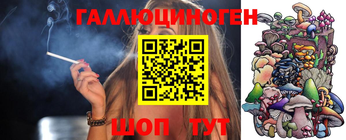 Псилоцибиновые грибы Cubensis  Алушта 